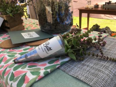 ホーリーバジル