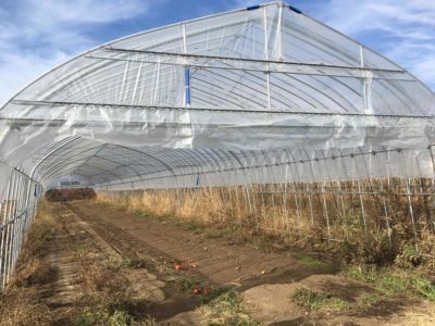 ビニールハウス