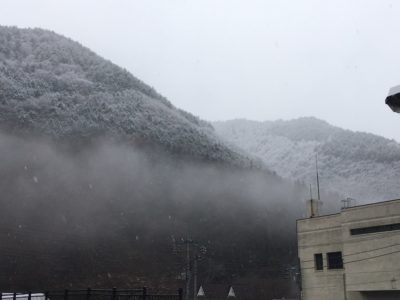 雪の朝